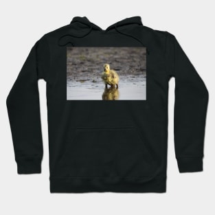 Pigpen Hoodie